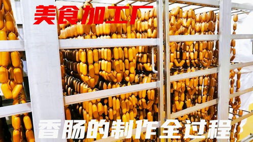 美食解密,每天10噸的工廠香腸制造過(guò)程,食品加工紀(jì)錄片
